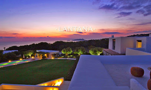Lantana Premium